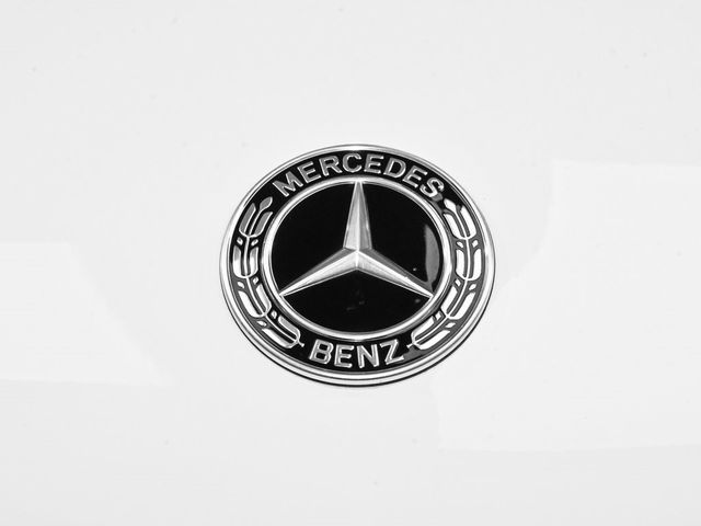 2025 Mercedes-Benz GLS GLS 450 - 22981412 - 96