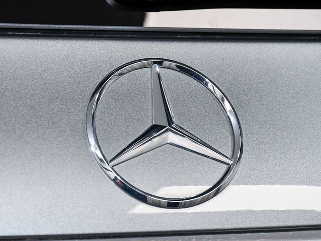 2025 Mercedes-Benz GLS GLS 450 - 23005734 - 97