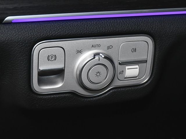 2025 Mercedes-Benz GLS GLS 450 - 23006380 - 20