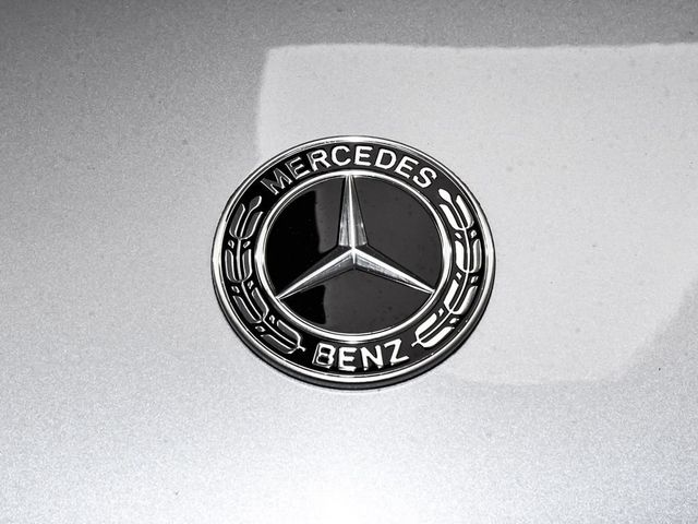 2025 Mercedes-Benz GLS GLS 450 - 23006380 - 96
