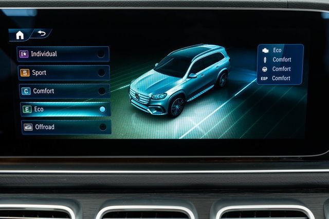 2025 Mercedes-Benz GLS GLS 450 4MATIC SUV - 22984237 - 30