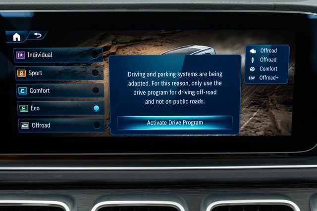 2025 Mercedes-Benz GLS GLS 450 4MATIC SUV - 22984237 - 31