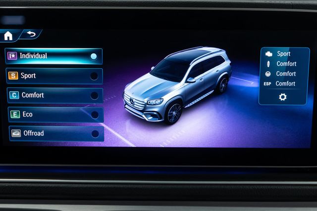 2025 Mercedes-Benz GLS GLS 450 4MATIC SUV - 23039776 - 28