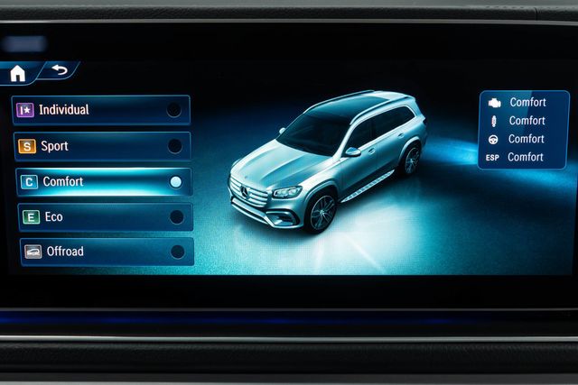 2025 Mercedes-Benz GLS GLS 450 4MATIC SUV - 23039776 - 30