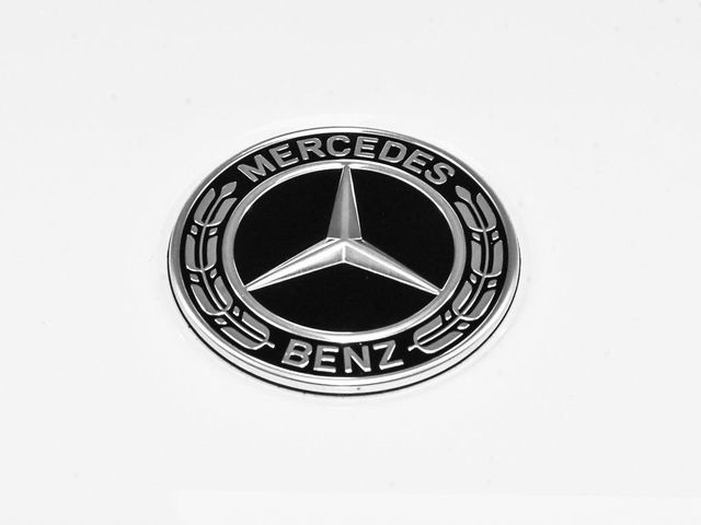 2025 Mercedes-Benz G-Class G 550 - 22977883 - 97