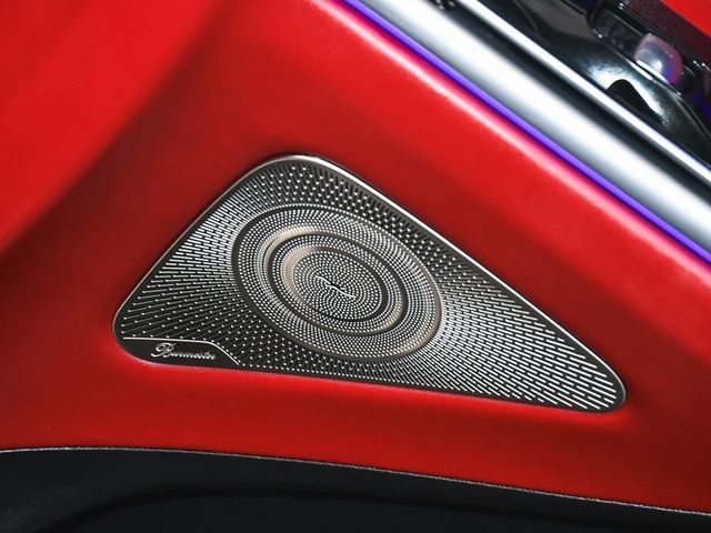 2025 Mercedes-Benz S-Class S 63 E AMG - 22978974 - 19