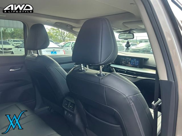 2025 Nissan Murano SL Sport Utility 4D - 23084464 - 22