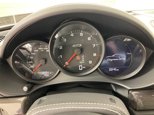2025 Porsche 718 Cayman GTS 4.0 Coupe - 22953094 - 8