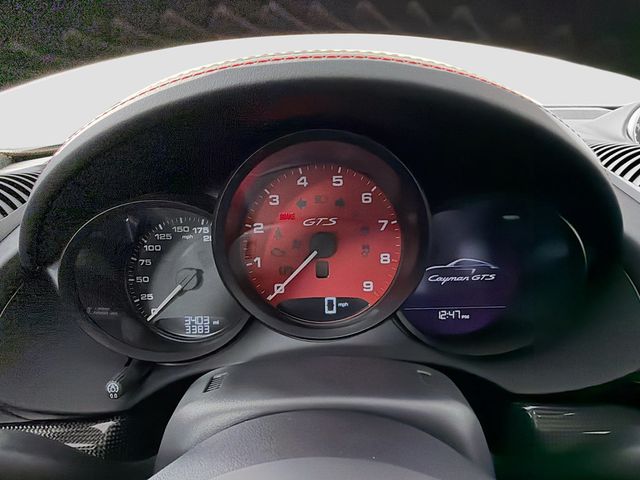 2025 Porsche 718 Cayman GTS 4.0 Coupe - 23038839 - 16