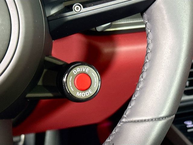 2025 Porsche 911 Carrera - 23047558 - 20