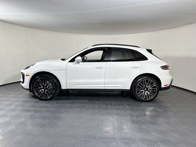 2025 Porsche Macan AWD - 23075662 - 1
