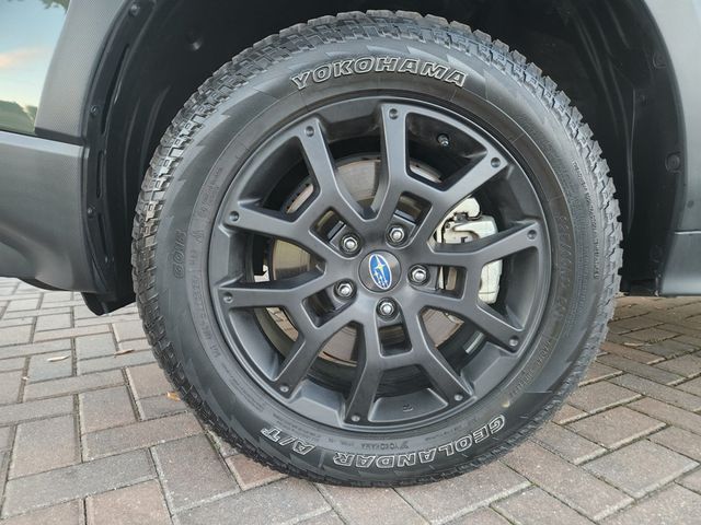 2025 Subaru Crosstrek WILDERNESS - 22962626 - 13