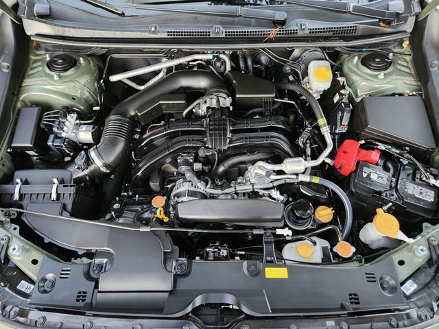 2025 Subaru Crosstrek WILDERNESS - 22962626 - 14