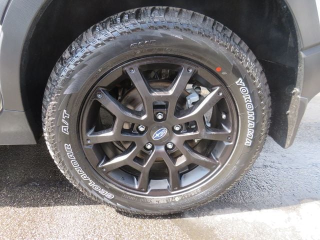 2025 Subaru Crosstrek Wilderness AWD - 22925995 - 14