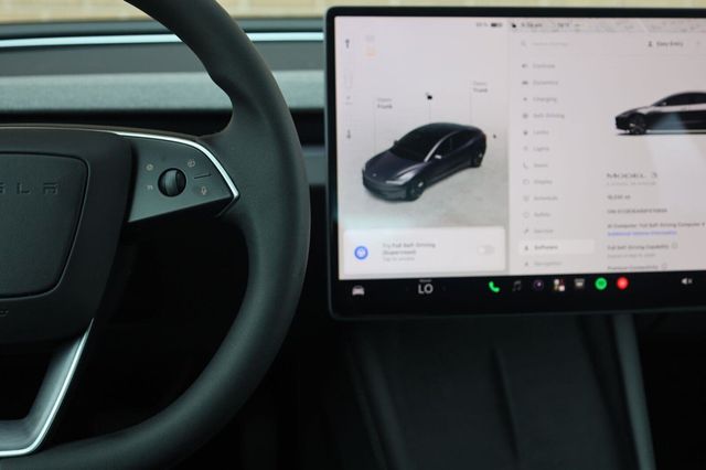 2025 Tesla Model 3 Long Range - 23072897 - 33