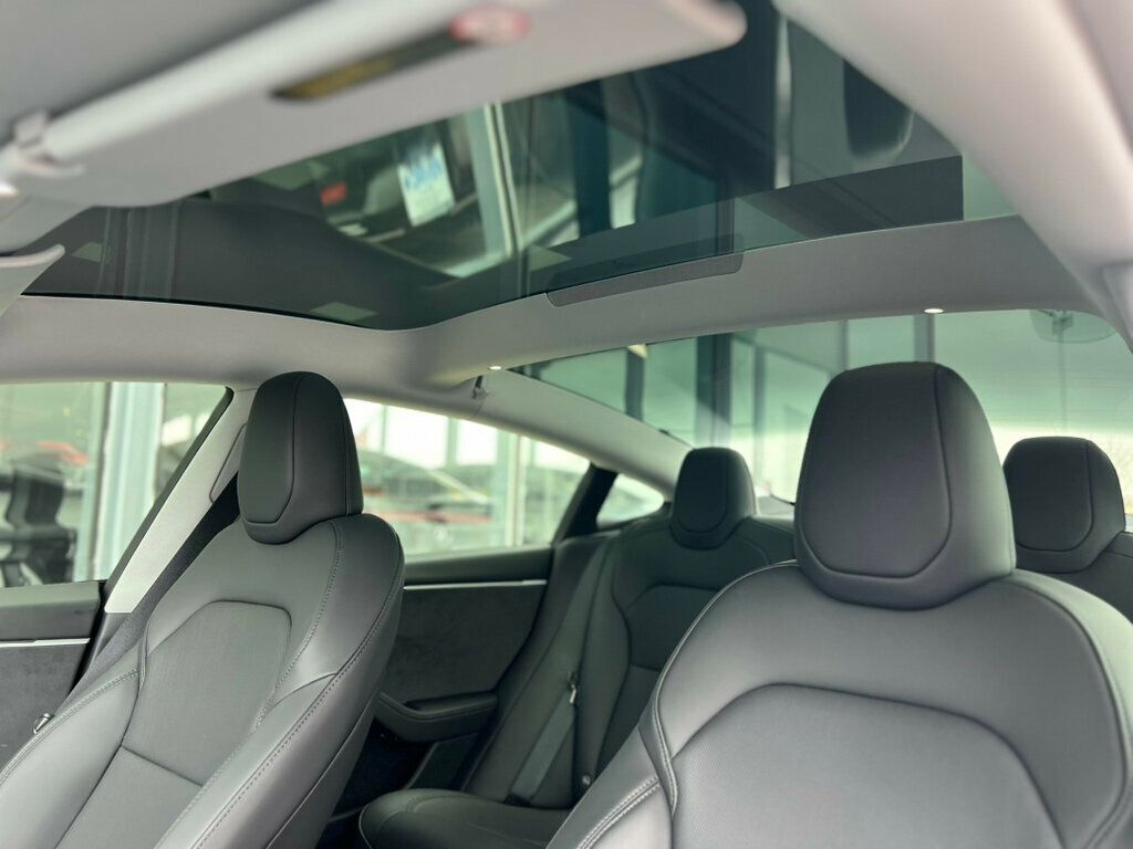2025 Tesla Model 3 Long Range AWD - 22998439 - 28