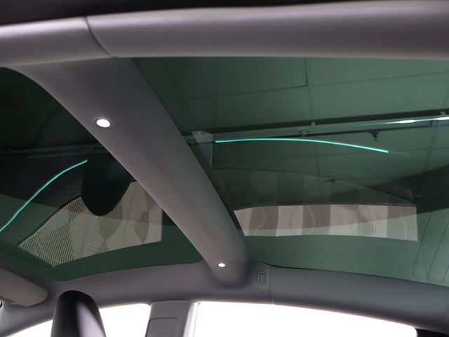 2025 Tesla Model 3 Long Range AWD - 22945695 - 24