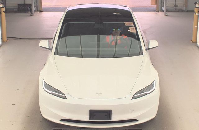2025 Tesla Model 3 Long Range RWD - 23058241 - 1