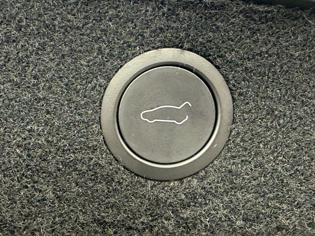 2025 Tesla Model 3 Long Range RWD - 22952833 - 23