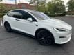 2025 Tesla Model X X 100D AWD  - 22922816 - 1