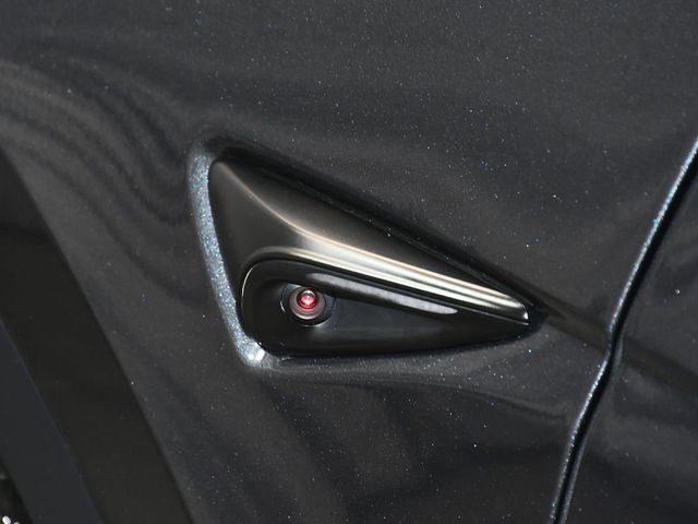 2025 Tesla Model Y Long Range - 22994138 - 12