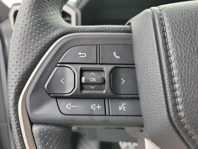 2025 Toyota 4Runner  - 22962801 - 16