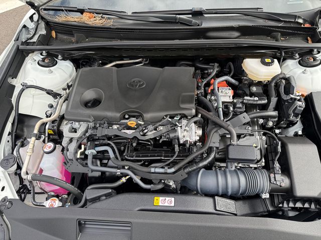 2025 Toyota Camry LE - 22987986 - 11