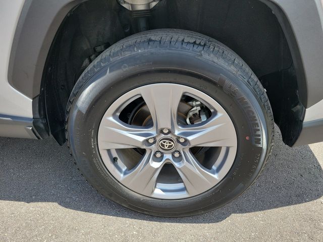2025 Toyota RAV4 Hybrid LE AWD - 23021256 - 21