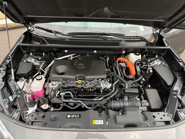 2025 Toyota RAV4 Hybrid LE AWD - 22987990 - 13
