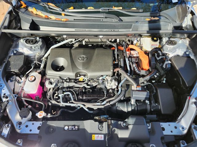 2025 TOYOTA RAV4 HYBRID XLE - 22992245 - 15