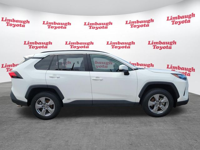 2025 Toyota RAV4 Hybrid XLE AWD - 23086134 - 20