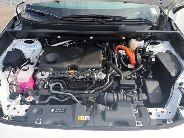 2025 Toyota RAV4 Hybrid XLE AWD - 22987984 - 12