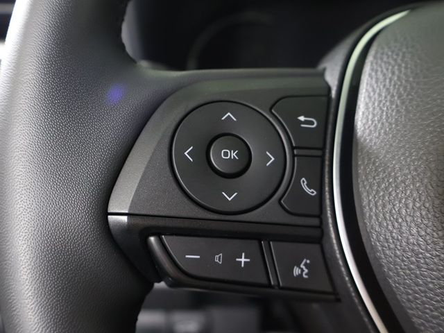 2025 Toyota RAV4 Hybrid XLE Premium AWD - 22959988 - 42