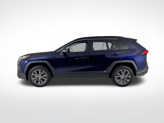 2025 Toyota RAV4 Hybrid XLE Premium AWD - 23066500 - 1