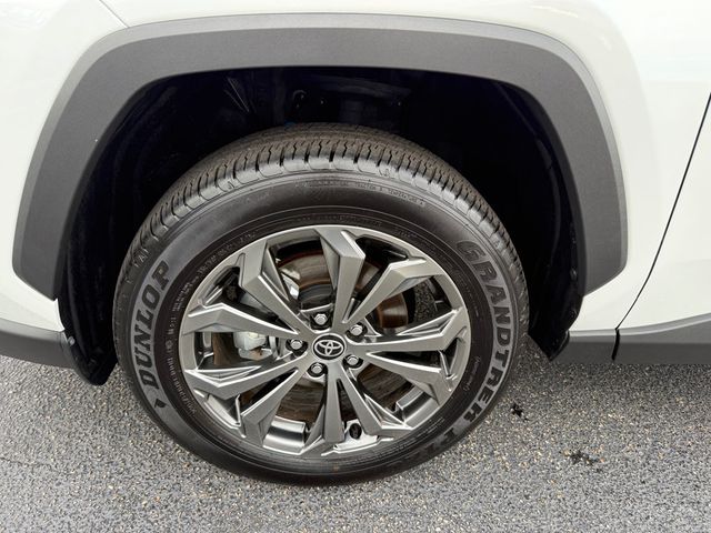 2025 Toyota RAV4 Hybrid XLE Premium AWD - 22925568 - 36