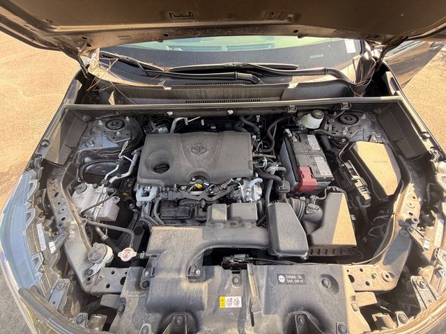 2025 Toyota RAV4 LE AWD - 23065725 - 20