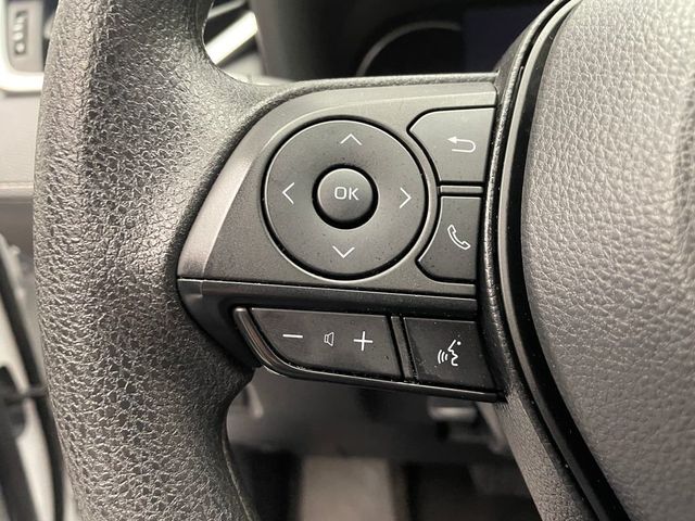 2025 Toyota RAV4 LE AWD - 22985232 - 20