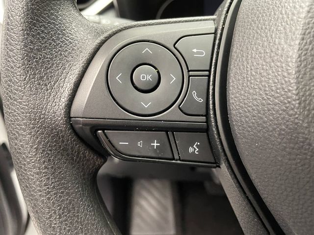 2025 Toyota RAV4 LE AWD - 22986021 - 20