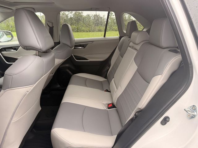 2025 Toyota RAV4 XLE Premium - 23093296 - 15