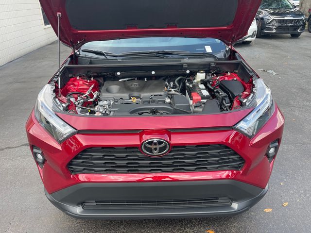 2025 TOYOTA RAV4 XLE PREMIUM - 23086797 - 22