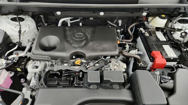 2025 Toyota RAV4 XLE Premium AWD with Weather Package - 22950741 - 25