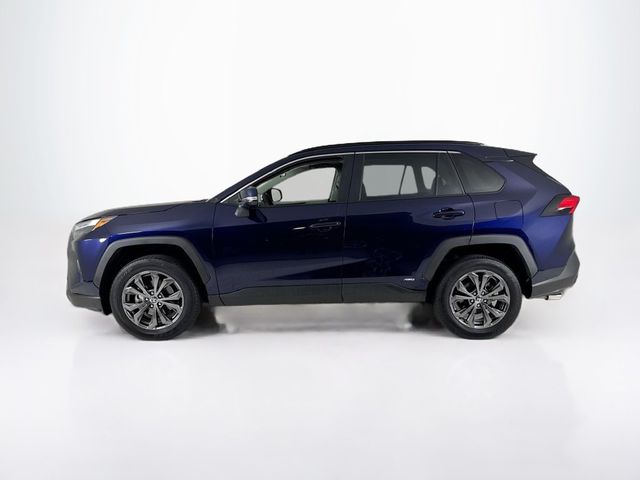 2025 Toyota RAV4 Hybrid XLE Premium - 23099679 - 1