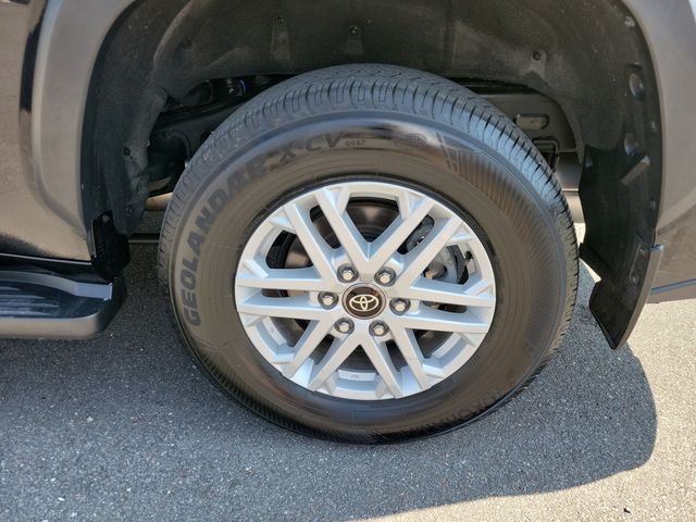2025 Toyota Sequoia SR5 4WD - 23074706 - 23
