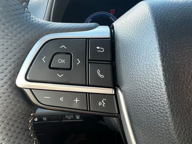 2025 Toyota Sienna Platinum AWD 7-Passenger - 22945799 - 22