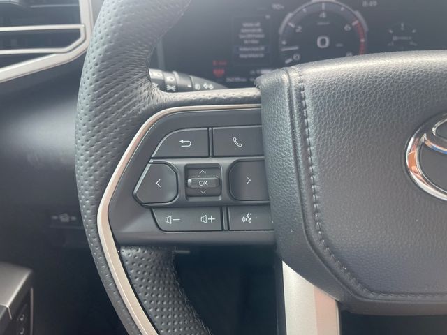 2025 TOYOTA TUNDRA 4WD LIMITED - 23084194 - 15