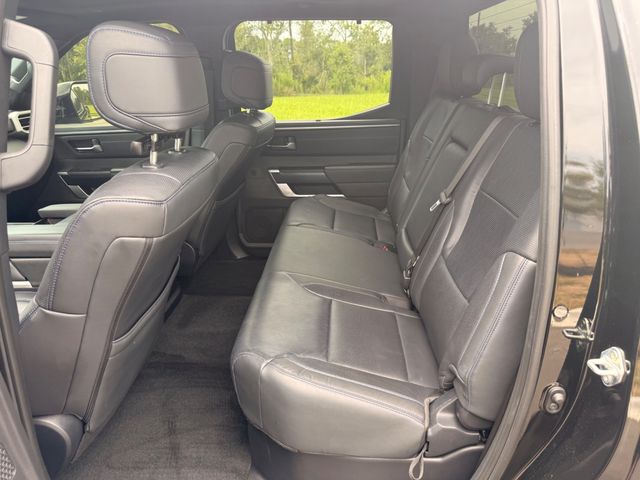 2025 Toyota Tundra 4WD PLATINUM 4X4 - 23062071 - 15