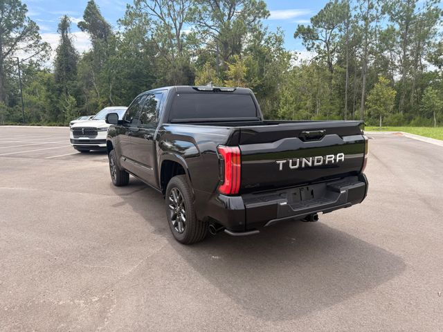 2025 Toyota Tundra 4WD PLATINUM 4X4 - 23062071 - 16