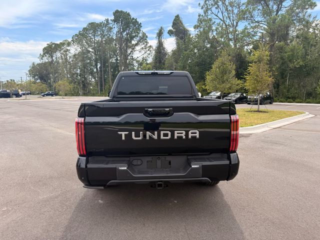 2025 Toyota Tundra 4WD PLATINUM 4X4 - 23062071 - 19