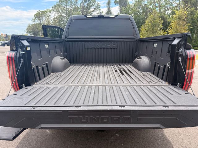 2025 Toyota Tundra 4WD PLATINUM 4X4 - 23062071 - 20