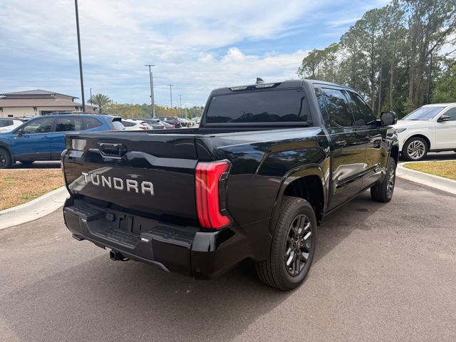 2025 Toyota Tundra 4WD PLATINUM 4X4 - 23062071 - 21